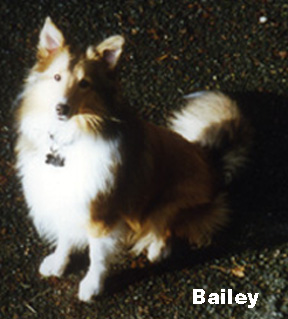 Bailey